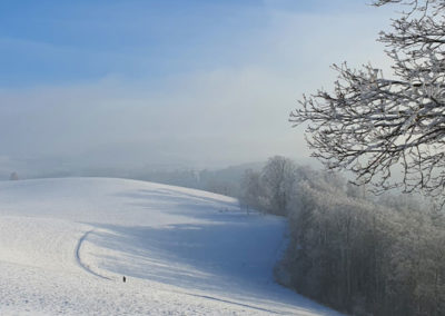 Ein winterliches Bild als Symbol für Klarheit und um in die Erkenntnis zu kommen