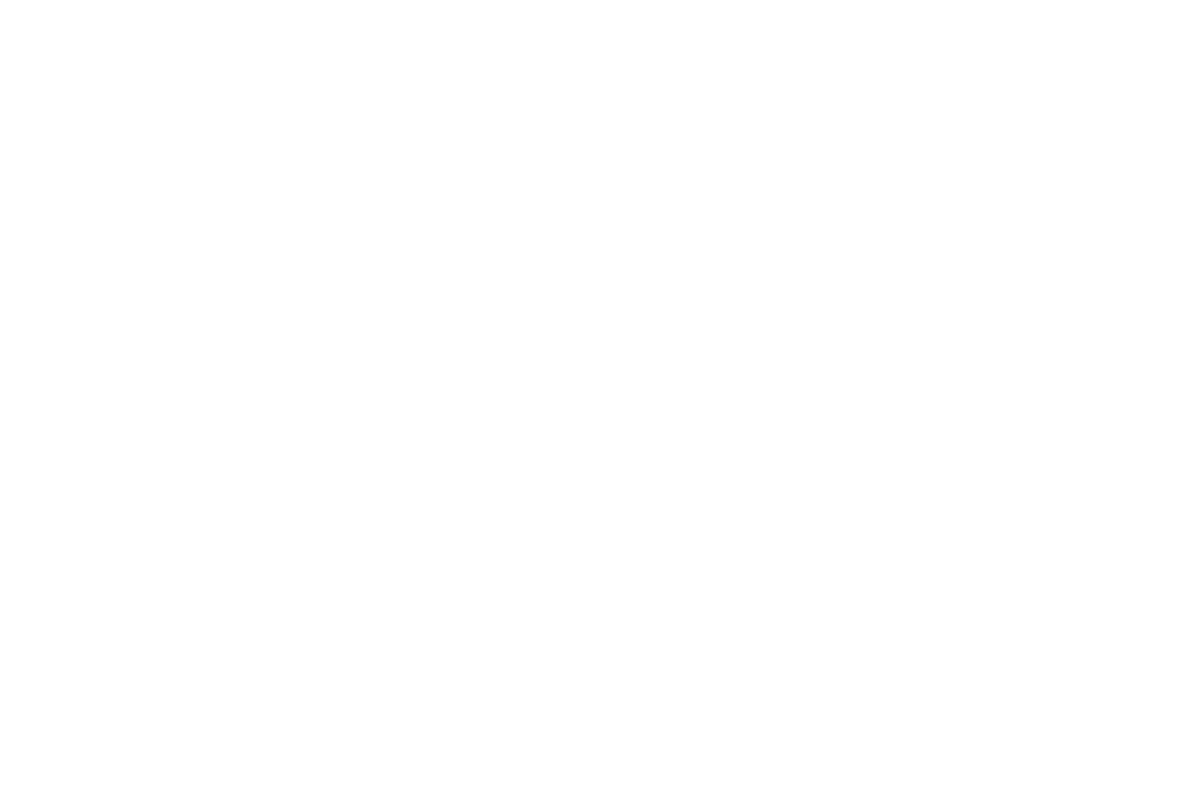 mewes.ch frei weiss